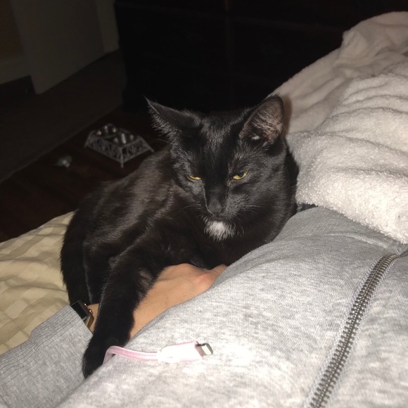 Meet your Posher, J - Picture 1 of 1